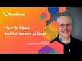 How To Check Jenkins Version in Linux