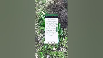 #سورة_القارعة تلاوة خاشعة للقارئ الشيخ عبد الرحمن السديس