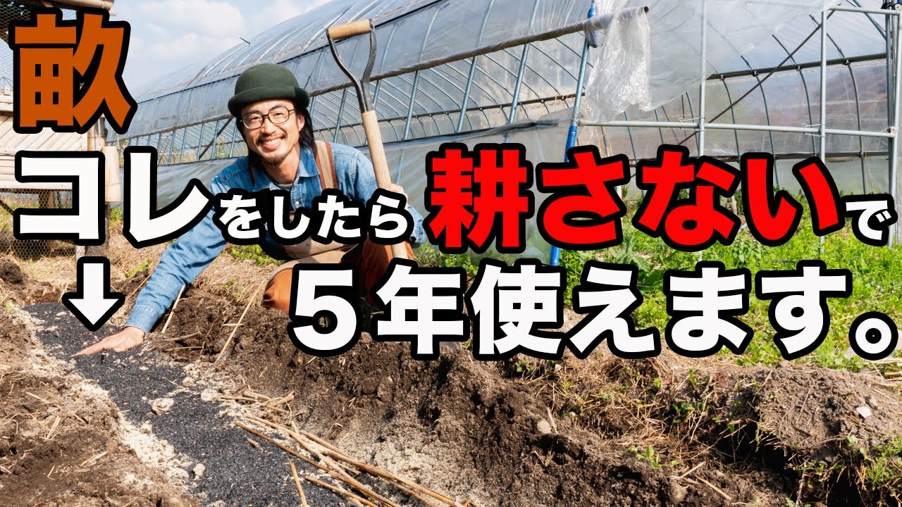【畝立て】不耕起、無肥料で5年使えるすごい畝（うね）の作り方を教えます