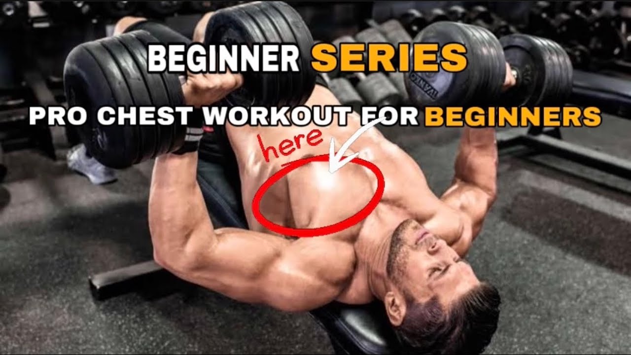 Pro Chest Workout For Beginners (in Hindi) | चेस्ट वर्कआउट बिगिनर्स के ...