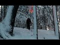 backyard skiing