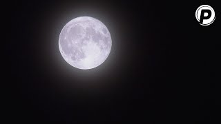 Halloween - Vollmond - Blue Moon (31. Oktober 2020)