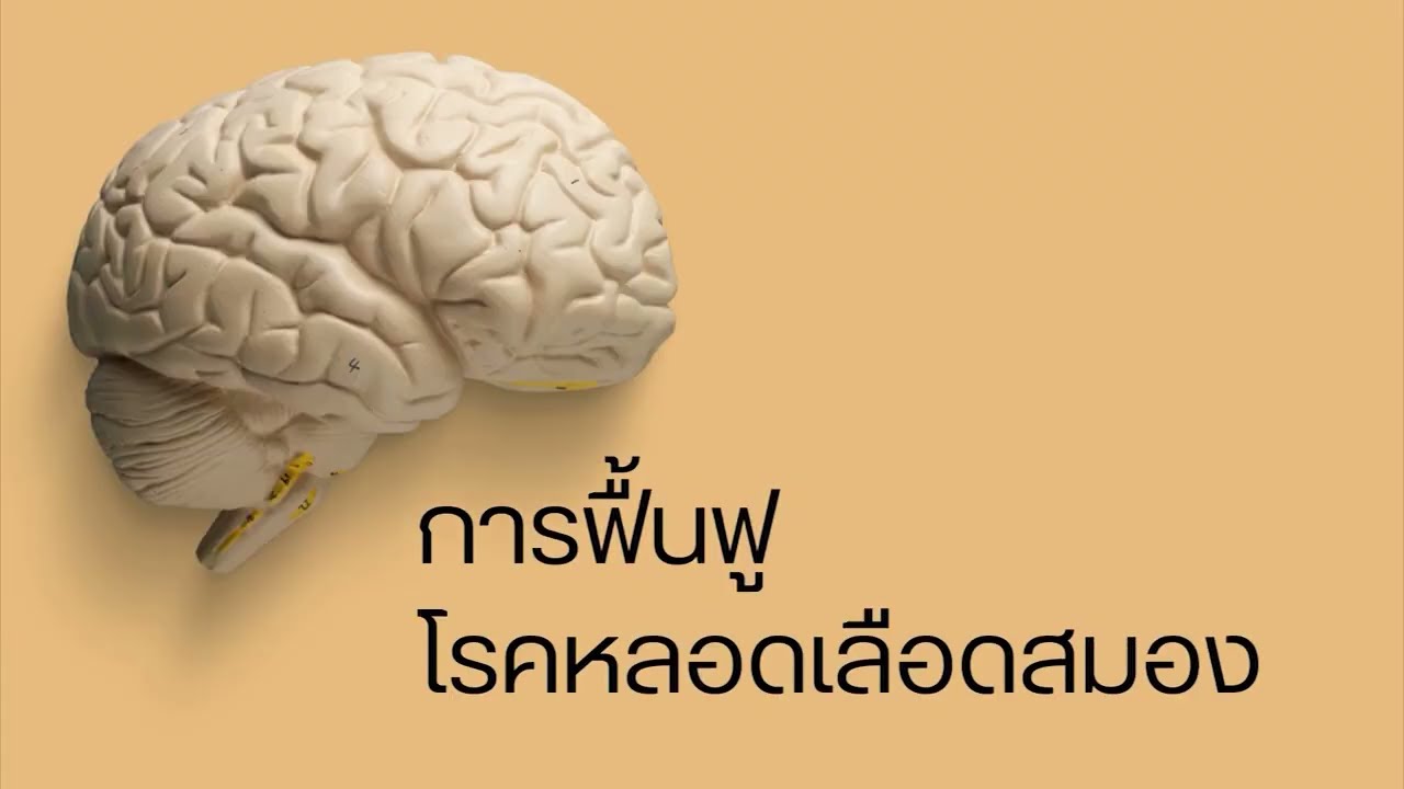 คลิป KIN