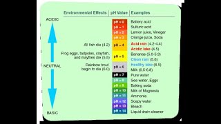 pH Lab - BIO 101