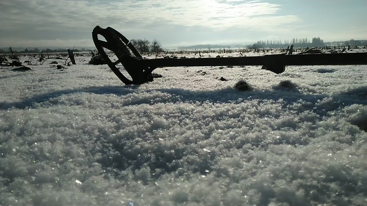 Zajímavosti,mince,knoflíčky na úspěšném políčku s detektorem kovu