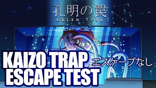 Kaizo Trap - Escape Test