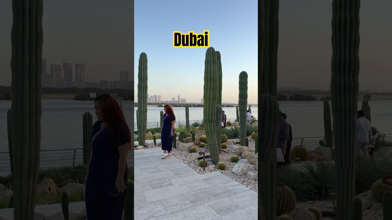 Cactus Park in Dubai 