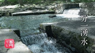 【自然浴60分】三分一湧水 / 山梨県北杜市