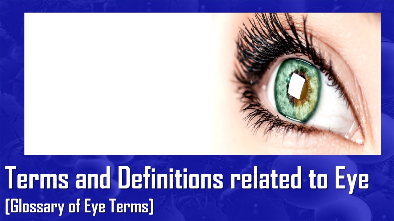 Dictionary Of Eye Terminology Abbreviations Of Eye Terminology YouTube Dictionary Of Eye Terminology Abbreviations Of Eye Terminology YouTube