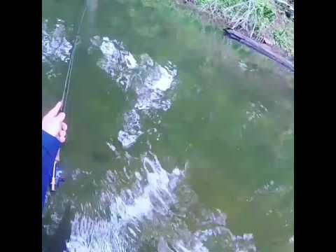 Devil's Trout Hole