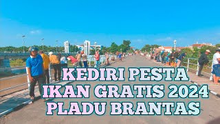 Ularnya Keluar‼️Heboh Pladu Di Bawah Jembatan Kediri