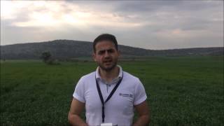 Schenker Arkas Projects 2017 Teaser