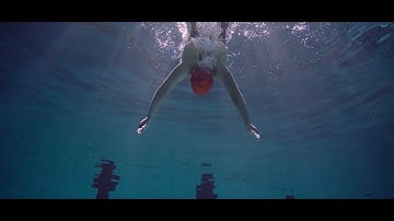 Orchestrate your Organization