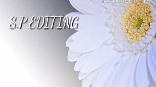 Sethae ponendi unna paakkaiyila lyrics hd video song