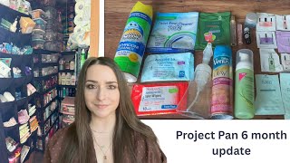 Project pan (2026) 6 month update Dehoarding my store Episode 24