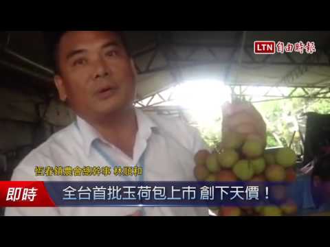 全台首批玉荷包上市 創下天價! - 全台首批玉荷包上市 創下天價!