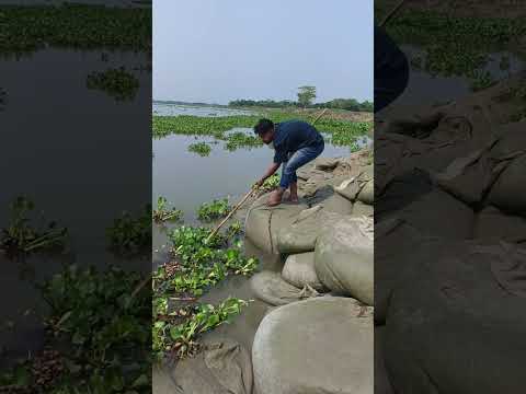 #fishing