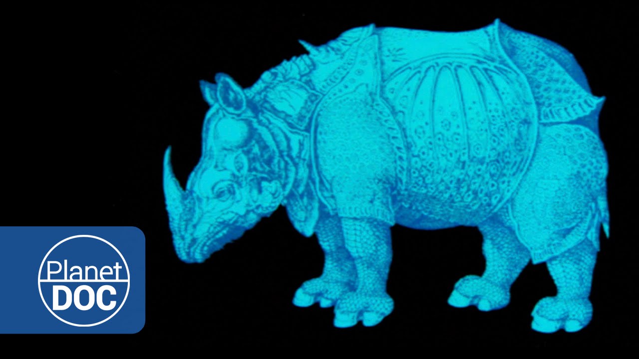 Documentary backdrop image for The Unicorn of India. Indian Rhinoceros (2015)