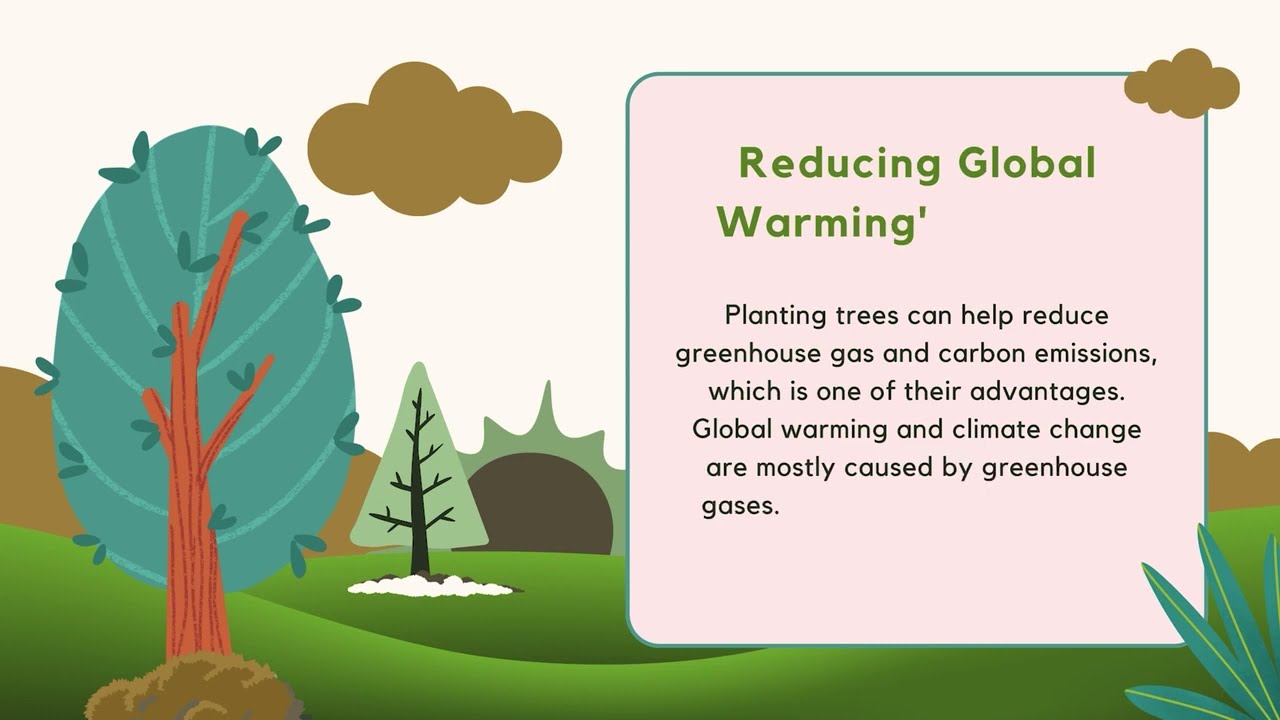 Benefits of Reforestation!