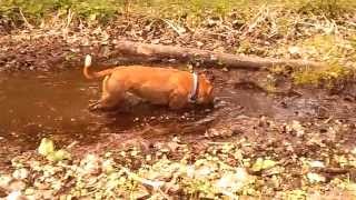 Zuza Kuracja Błotem Z Dna Kałuży Leśnej