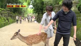 Daisuke Ono and Takayuki Kondo's Dream Adventure ~Dragon & Tiger