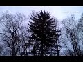 Lebanon Daily News update by John Latimer - February 23, 2014