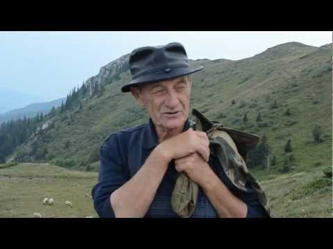 Video: Kavkaške Borovnice