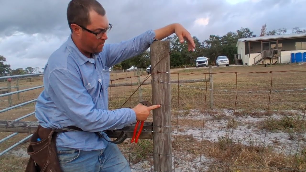 how to remove a fence post staple that's completely driven in