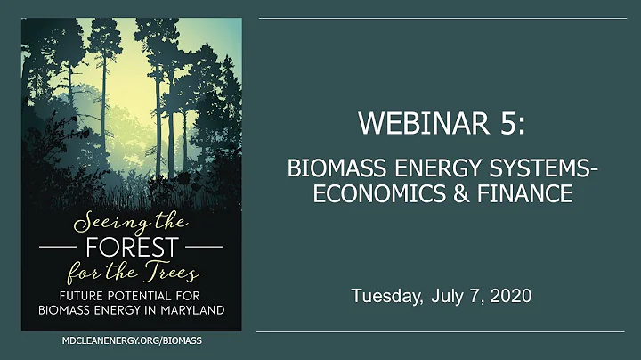 Biomass Energy Systems - Economics & Financing