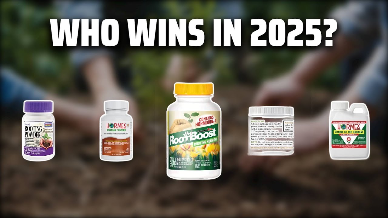 The Top 5 Best Rooting Hormone in 2025 - Must Watch Before Buying!