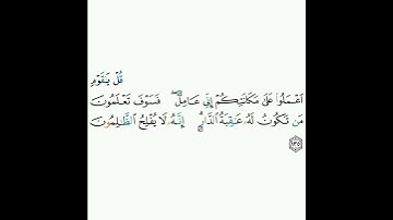 6 - سورة الأنعام ١٣٥ - محمود خليل الحصري