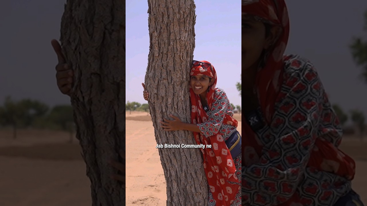 Special plants of Rajasthan ♥️ | Part 5/10