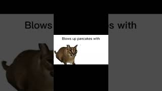 Blows Up Pancakes With Mind