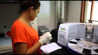 Barcode of Wildlife Project - episode 2