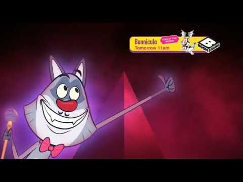 Boomerang Asia : Star of the Month - Bunnicula (January 2022) [Banner]