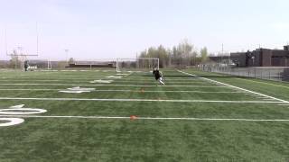 Cone Drill - zig zag run