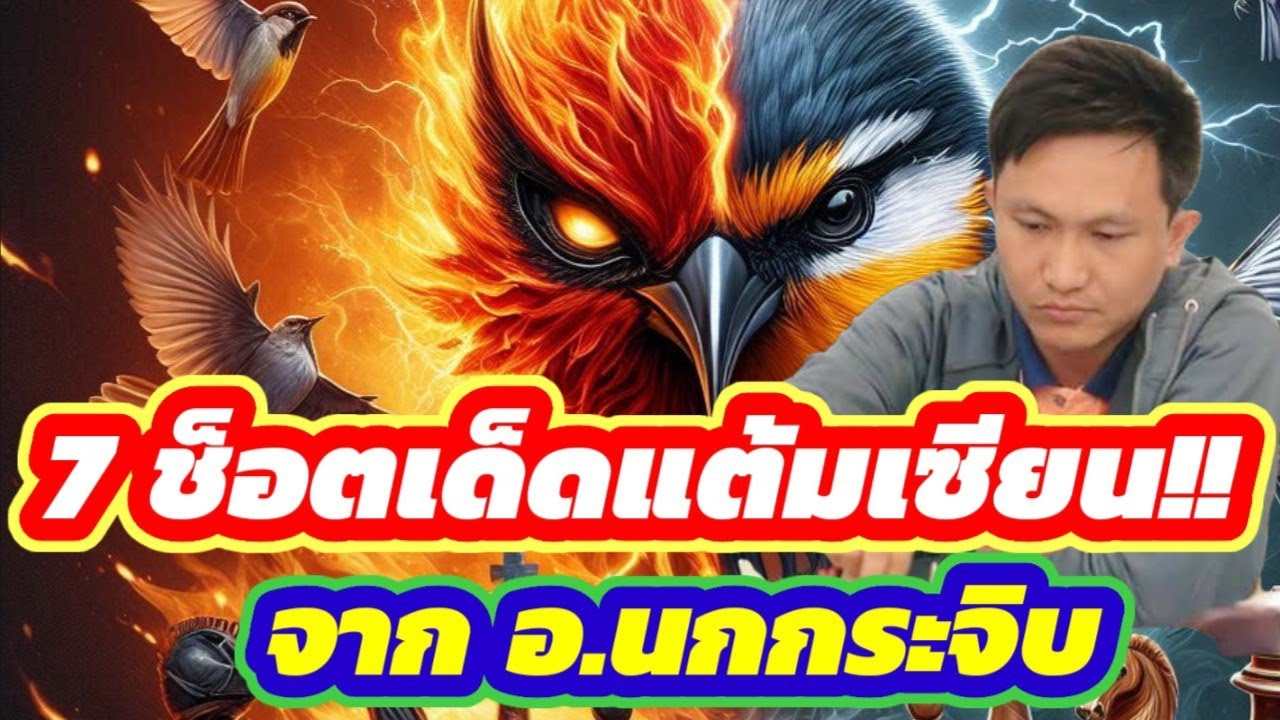 🔥7 ช็อตเด็ดแต้มเซียน🔥 จากอาจารย์สุดยอดเซียนนกกระจิบ นักโขกที่บุกคม บุกแรงที่สุดในยุคนี้