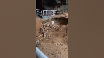 I found a mysterious GIANT skeleton in a CAVE in Thailand 🇹🇭 #thailand #mystery #archeology