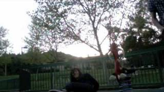 Another Day At The Park