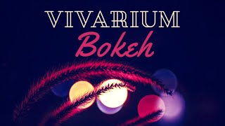 Vivarium  - Bokeh (full album)