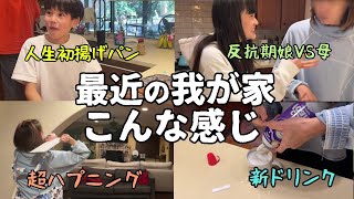 Download Lagu 【アメリカ主婦１日ルーティン】キラキラ生活どこいった？ハプニングばっかで最後は大絶叫の１日 MP3