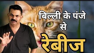 पालतू बिल्ली के पंजे से रेबीज। जरा संभलकर #CatBite #Rabies