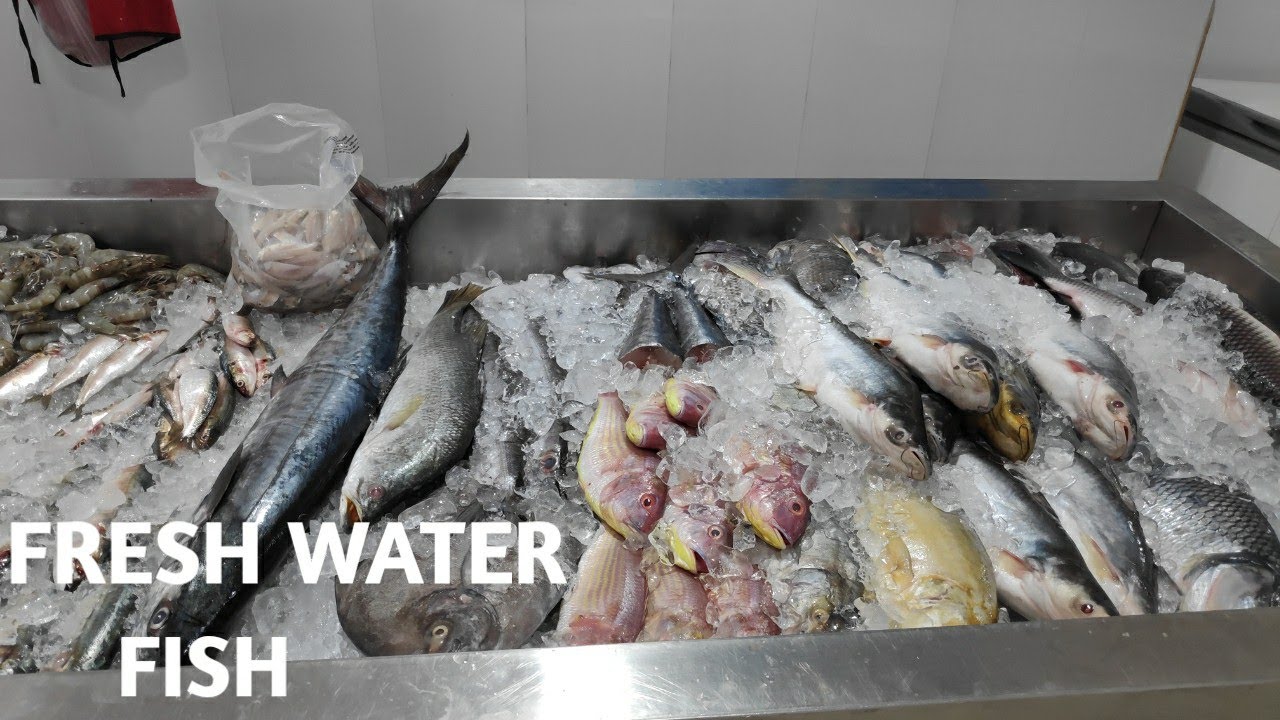 Bangalore Gutahalli Meat Fresh Store YouTube