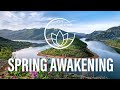 Spring Awakening Music - Deep Relaxation &amp; Nature Sounds