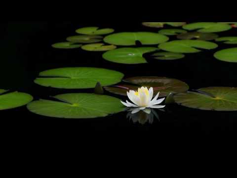 تلاوة اية الكرسي مناظر طبيعية عالية الدقة 