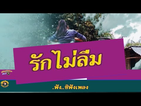 รักไม่ลืม [Cover midi karaoke] สายัณห์  สัญญา