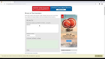 Learn Programming In 3 Months?
