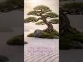 Aesthetic Luxury Screensaver 4K / 4K MODERN GALLERY