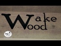 Wake Wood от Европы-Днепр Porcelanosa