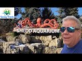 A Beautiful Day For A Shed Aquarium Adventure In Chicago